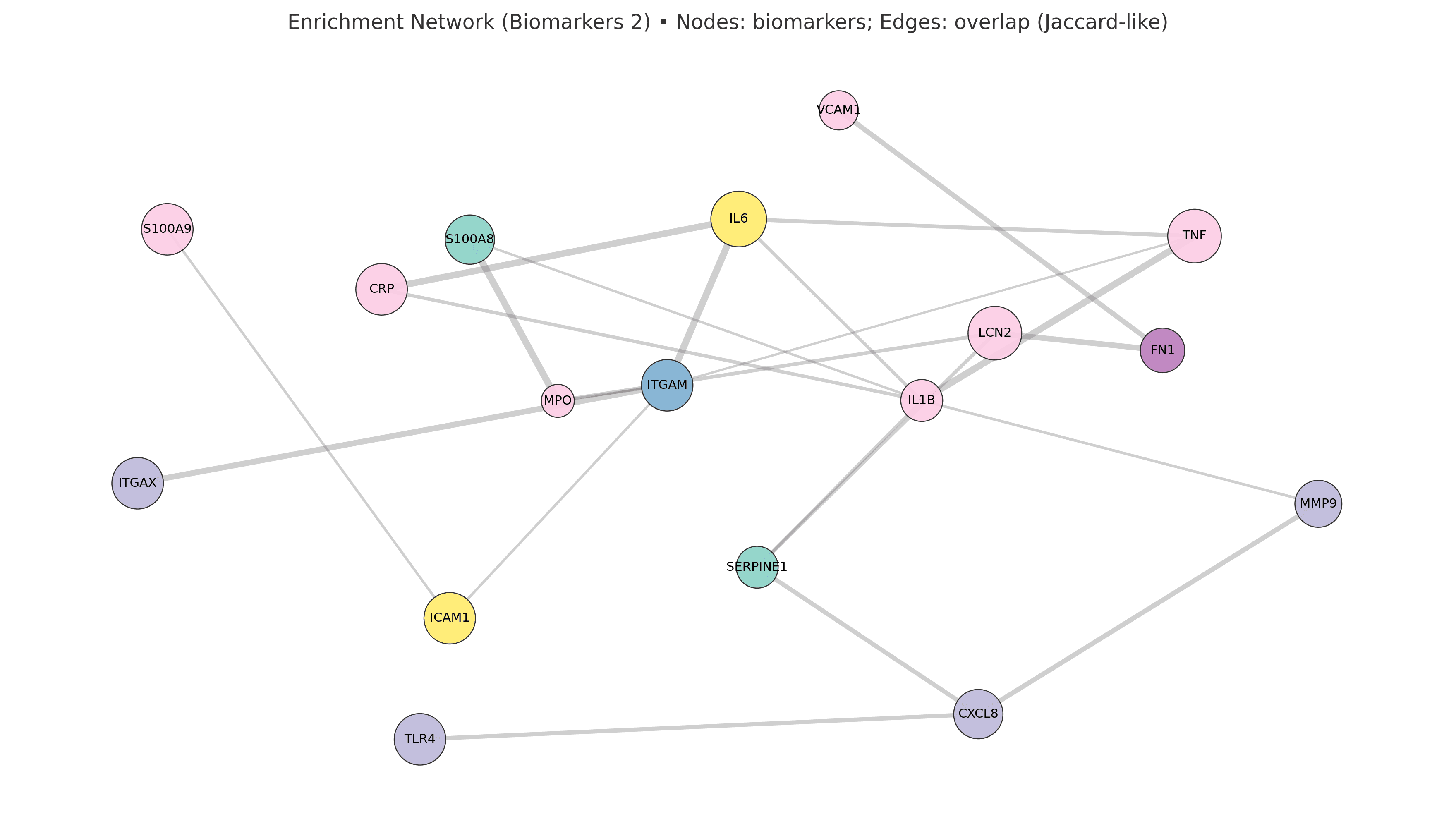 Biomarker enrichment network (set 2)